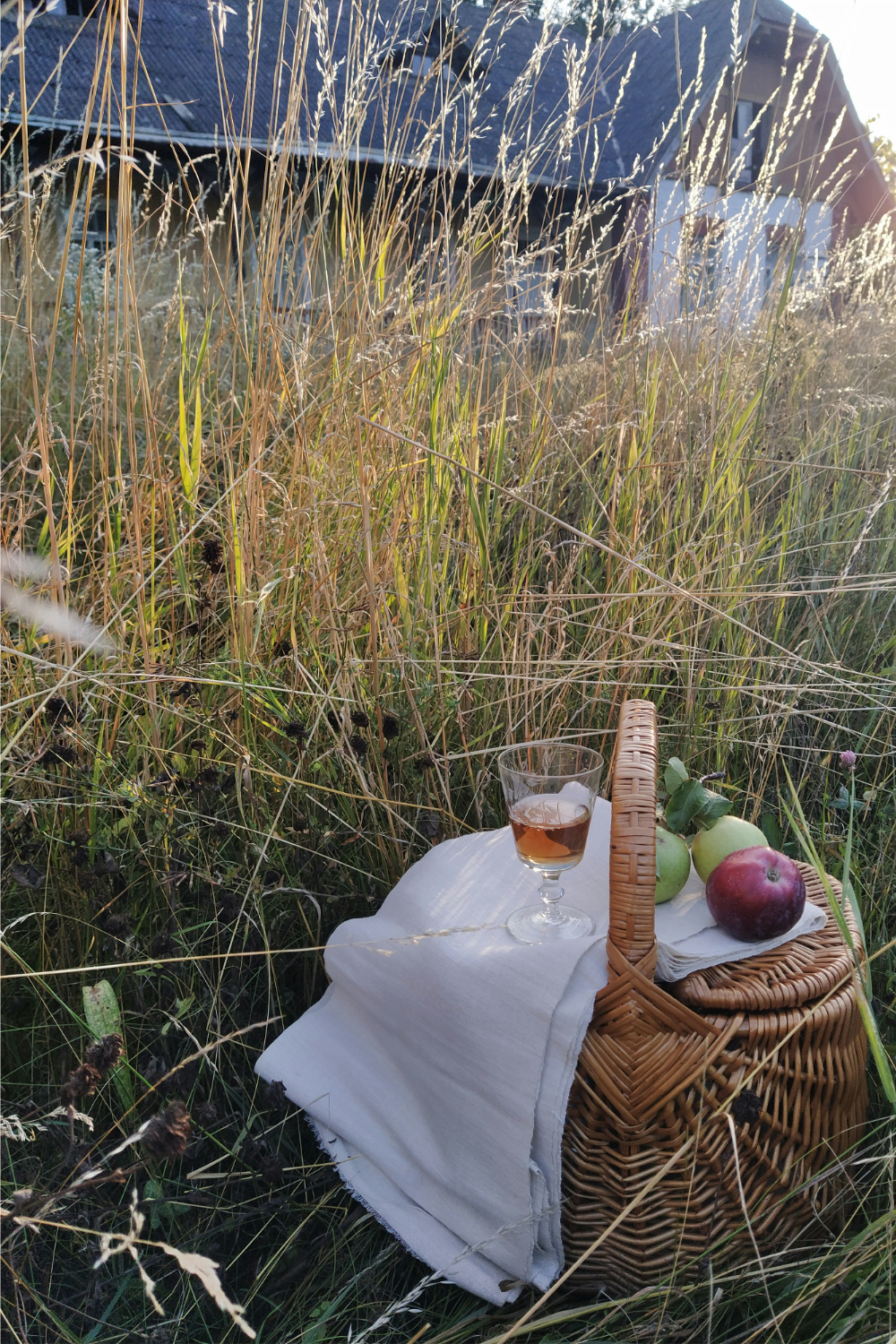 Embrace the Slow Life: Tips for Living Slow